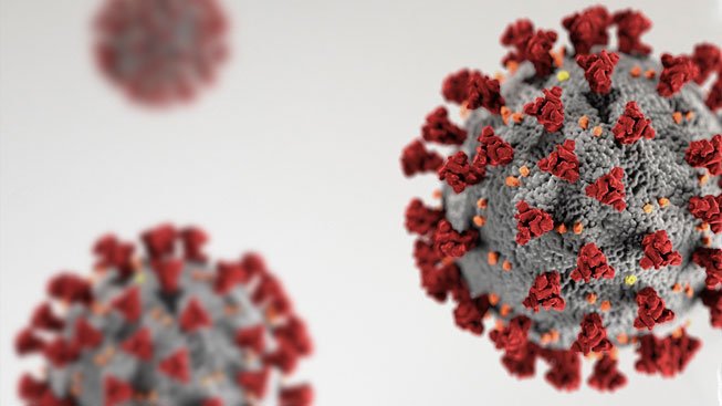 ¿Cuál es el comportamiento de los virus sobre una superficie Krion®?