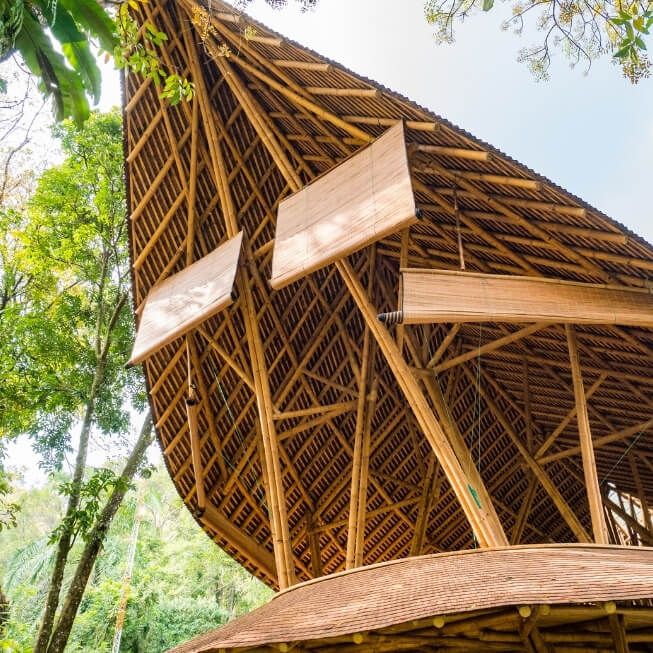 sustainable bamboo facade